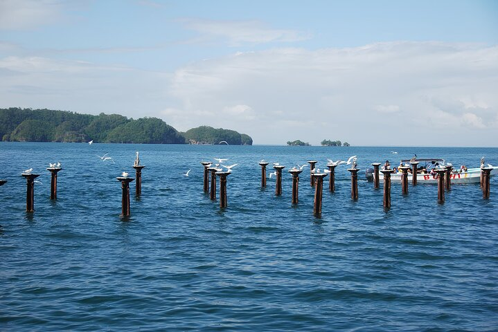 Tour of Los Haitises Montaña Redonda and Yanigua Waterfall in one day - Photo 1 of 8